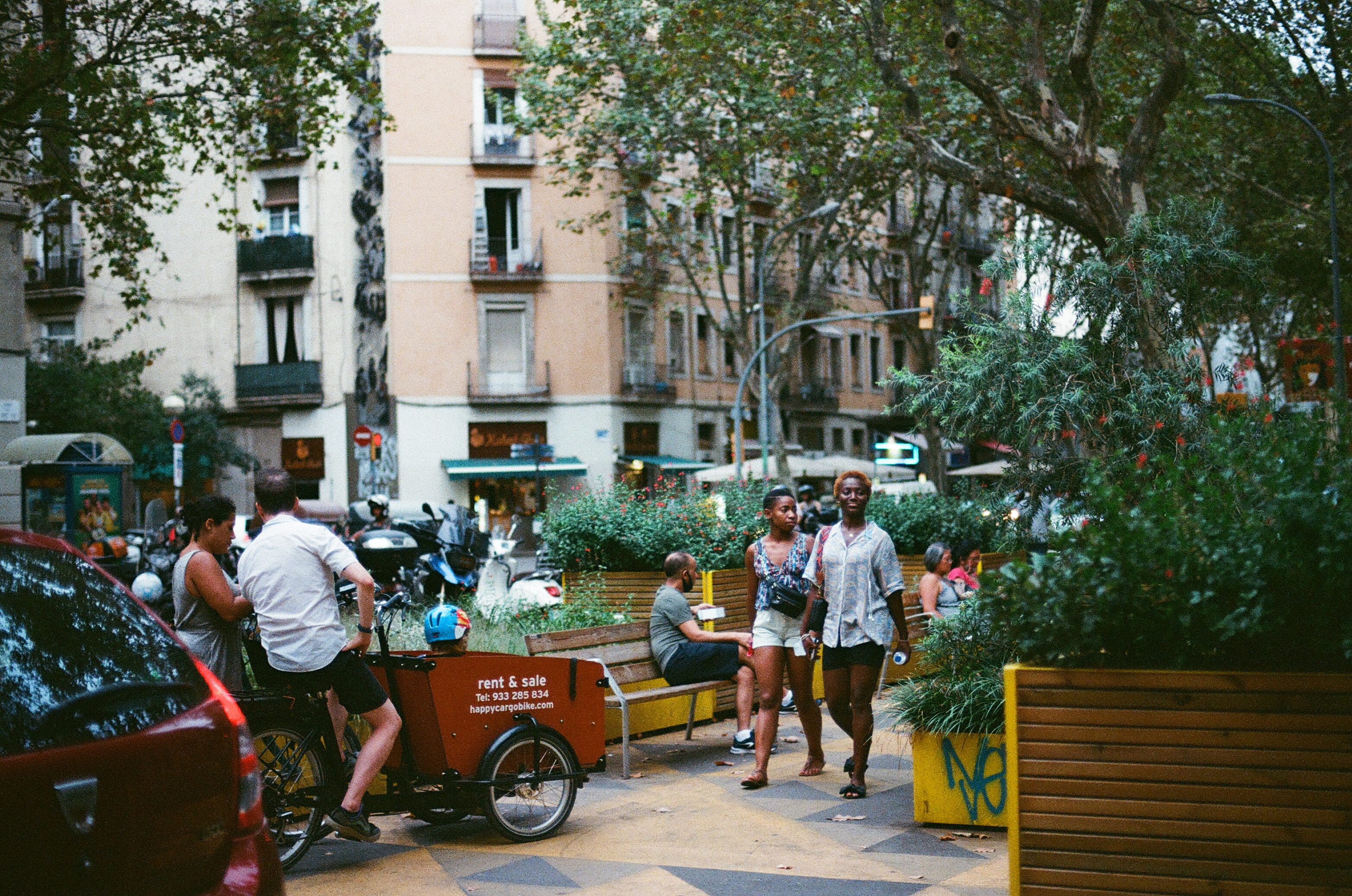 BCN31